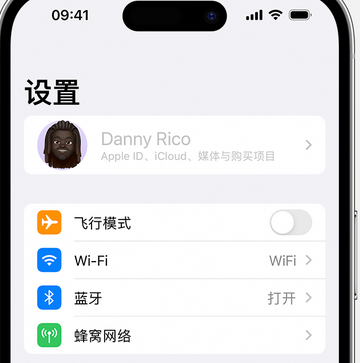 阿里appleID维修服务iPhone设置中Apple ID显示为灰色无法使用 