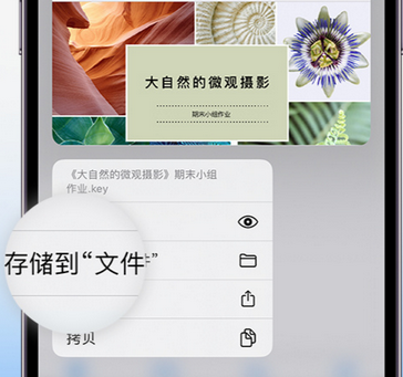 阿里apple维修中心分享iPhone文件应用中存储和找到下载文件