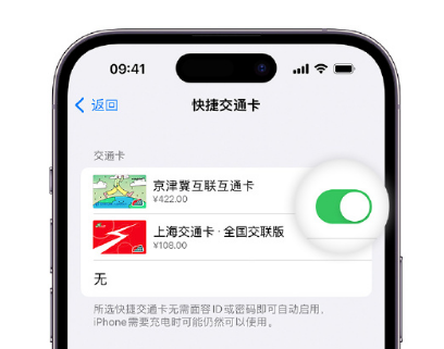 阿里apple维修点分享iPhone上更换Apple Pay快捷交通卡手绘卡面 