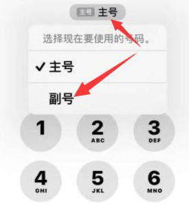 阿里苹果14维修店分享iPhone 14 Pro Max使用副卡打电话的方法 