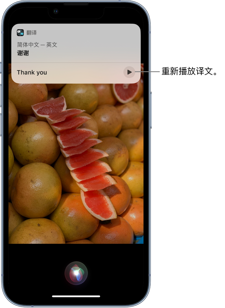阿里苹果14维修分享 iPhone 14 机型中使用 Siri：了解 Siri 能帮你做什么 