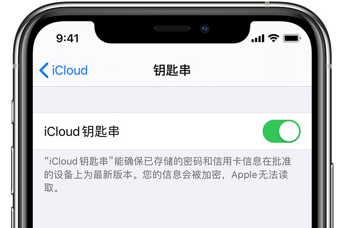 阿里苹果手机维修分享在 iPhone 上开启 iCloud 钥匙串之后会储存哪些信息 